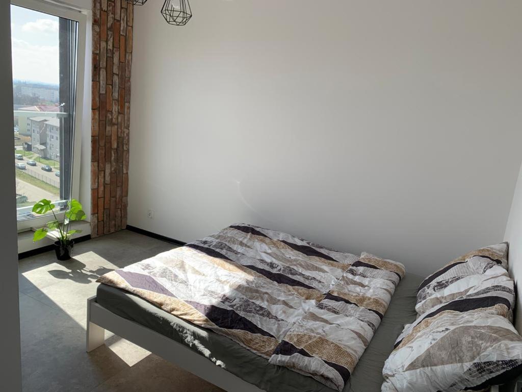 Apartment Corner Srem